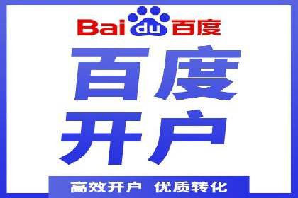 百度竞价推广案例：行业领军者成长故事